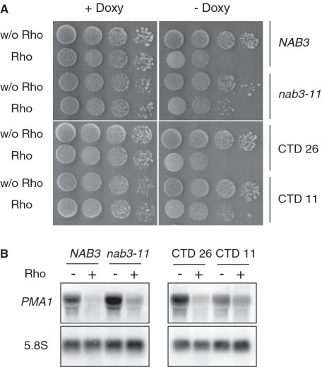 Figure 6.