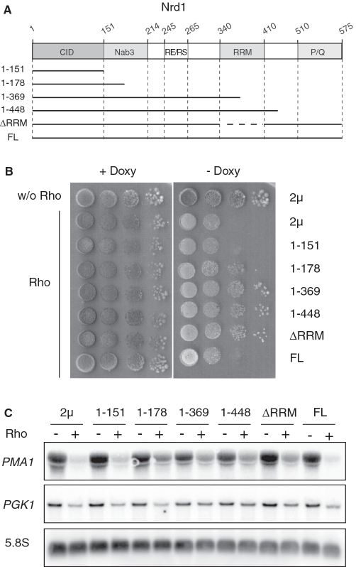 Figure 7.