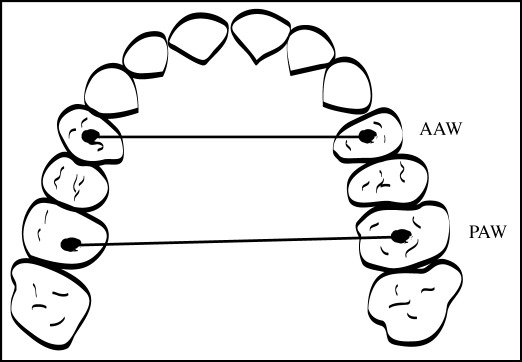 Figure 2b :