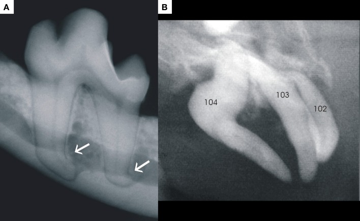 Figure 11