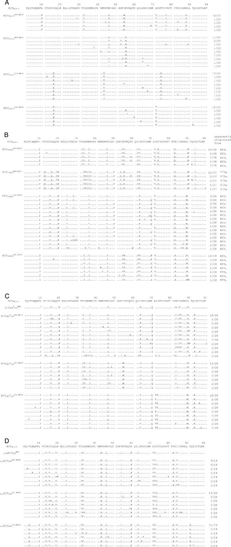 Figure 4—figure supplement 1.