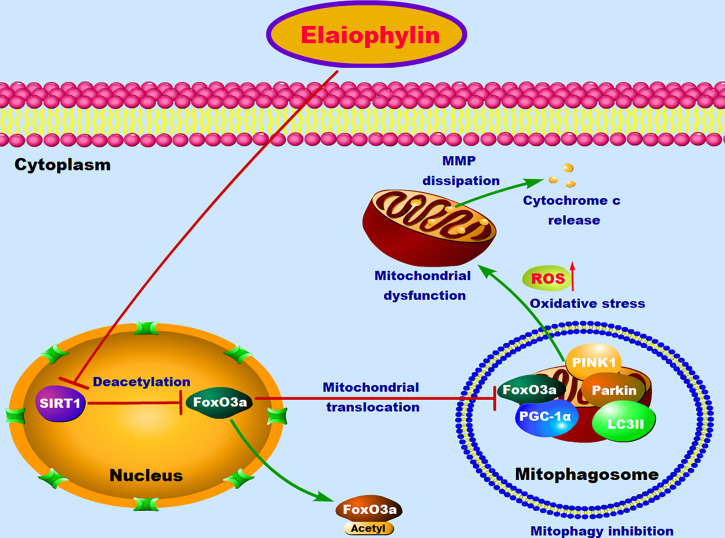 Figure 7