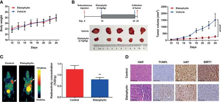 Figure 6