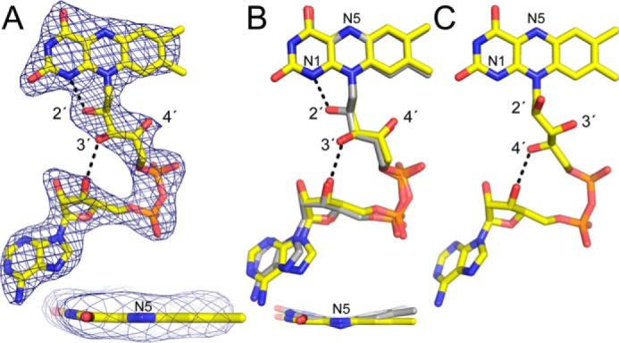 Figure 6.