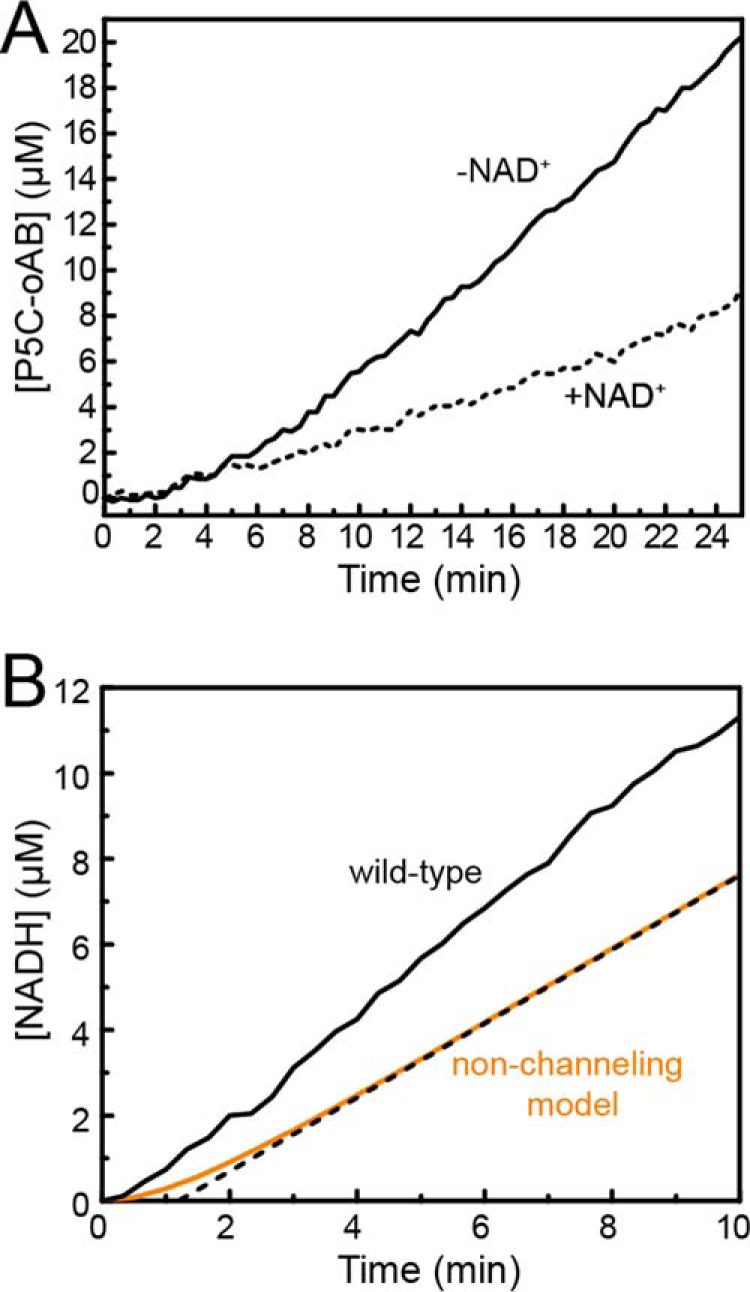 Figure 10.