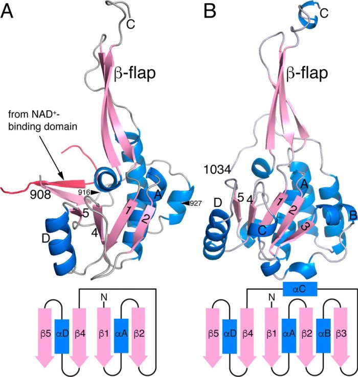 Figure 5.