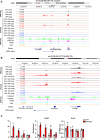 Figure 1—figure supplement 1.