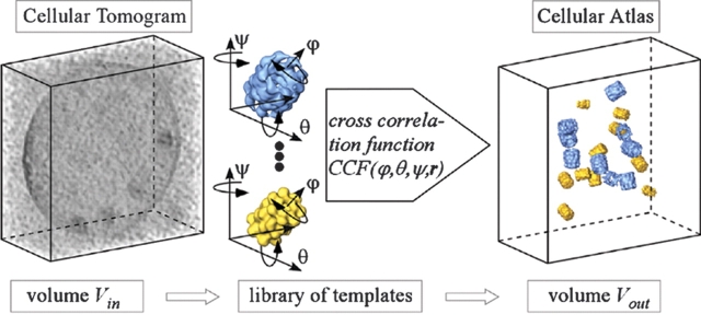 Figure 7.