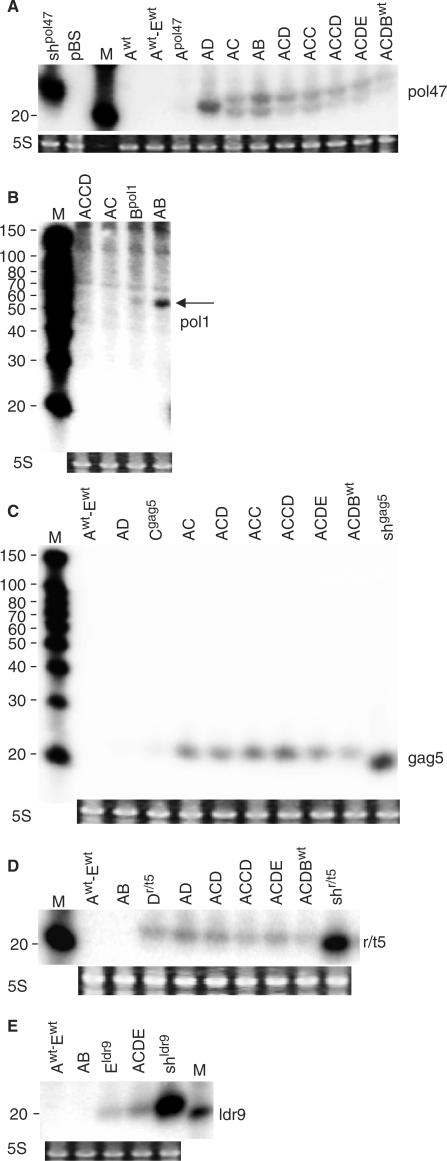 Figure 6.