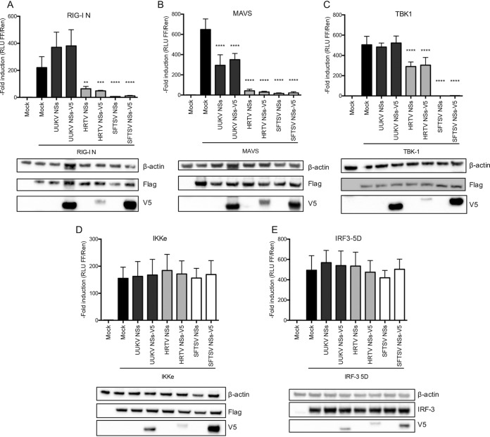 FIG 3 