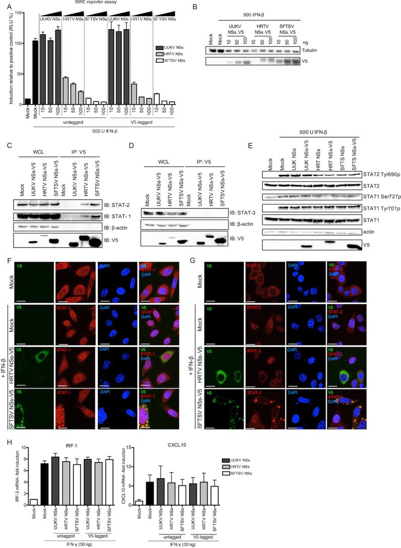 FIG 6 