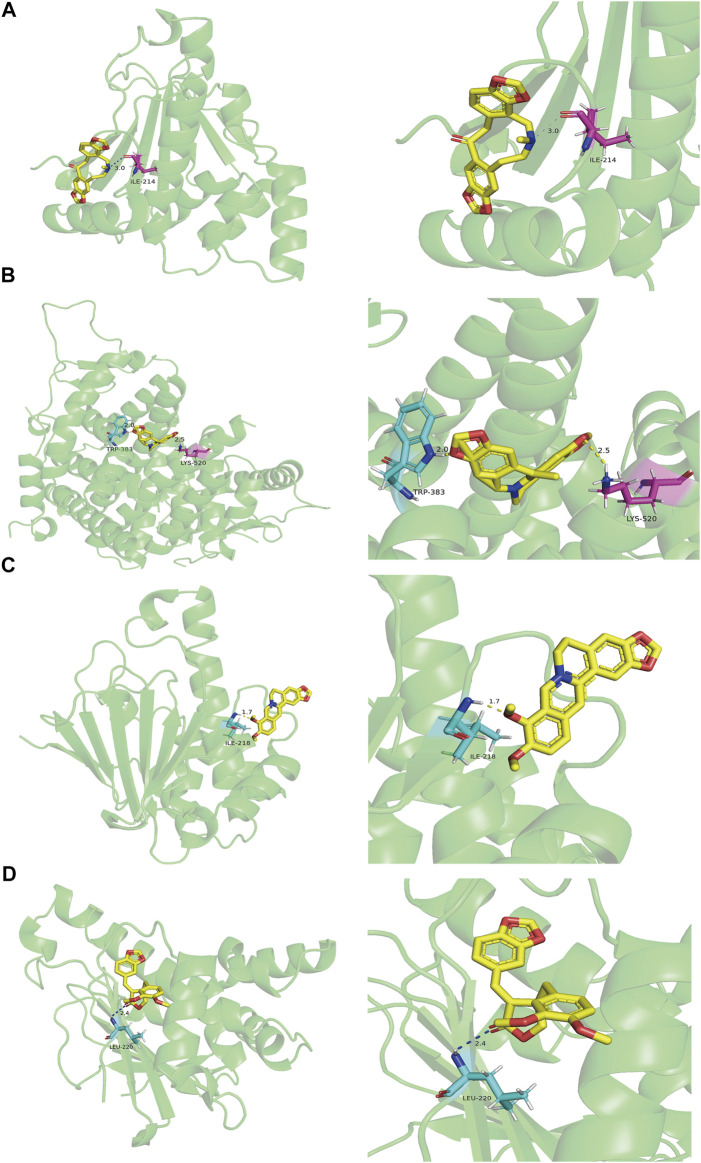 FIGURE 6