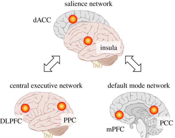 Figure 1. 