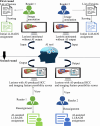 Overview of the artificial intelligence (AI)–assisted workflow.
HCC = hepatocellular carcinoma, LI-RADS = Liver Imaging Reporting and Data
System.