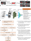 Development and evaluation of the deep learning framework. (A) Process
of images annotation. Manual labeling of the bounding box on the largest
layer of tumor appearance on the clearest sequence (usually hepatobiliary
phase), then input starting and ending layers to build a three-dimensional
bounding box. After replicating on the other four registered phases and
manual checking whether boxes were correctly aligned, five three-dimensional
bounding boxes for each lesion were generated. (B) Deep learning framework.
For each lesion, raw data within three-dimensional bounding boxes were
processed with a series of vertical intensity projection, including maximum
intensity projection, minimum intensity projection, average intensity
projection, and the subtraction between the maximum and minimum intensity
projections. Using Resnet 50 (Linux Foundation), the median layer and the
processed intensity projection data from each phase were included for the
hepatocellular carcinoma (HCC) diagnosis–oriented artificial
intelligence (AI) model development. To determine an optimal combination of
the five phases, AI models using different phases were compared with
consensus reading of an expert reader. Model A represents an AI model with
arterial phase and portal venous phase images. Model B represents an AI
model with arterial phase, portal venous phase, and hepatobiliary phase
images. Model C represents an AI model with precontrast T1-weighted imaging
(T1WI), T2-weighted imaging (T2WI), arterial phase, portal venous phase, and
hepatobiliary phase images. Diagnostic results by the Liver Imaging
Reporting and Data System (LI-RADS) category 5 were used to represent the
LI-RADS version 2018 performances. (C) Flowchart of the approach for lesion
and feature classifier development and validation.