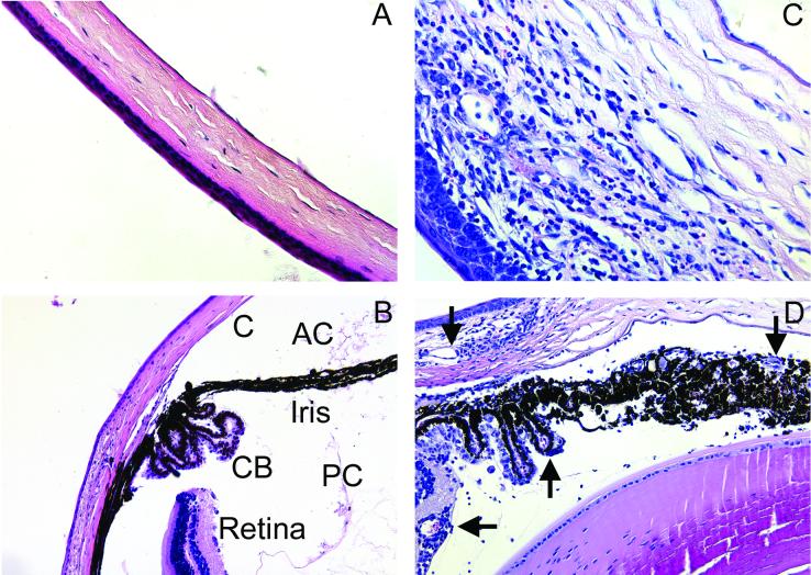 FIG. 5.