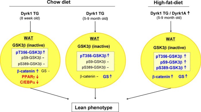 FIGURE 10.