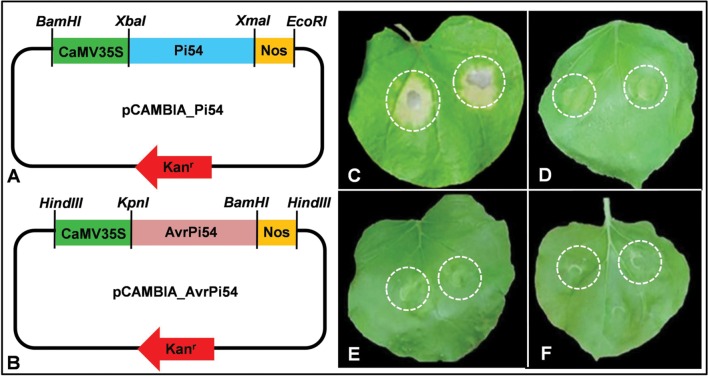 FIGURE 3