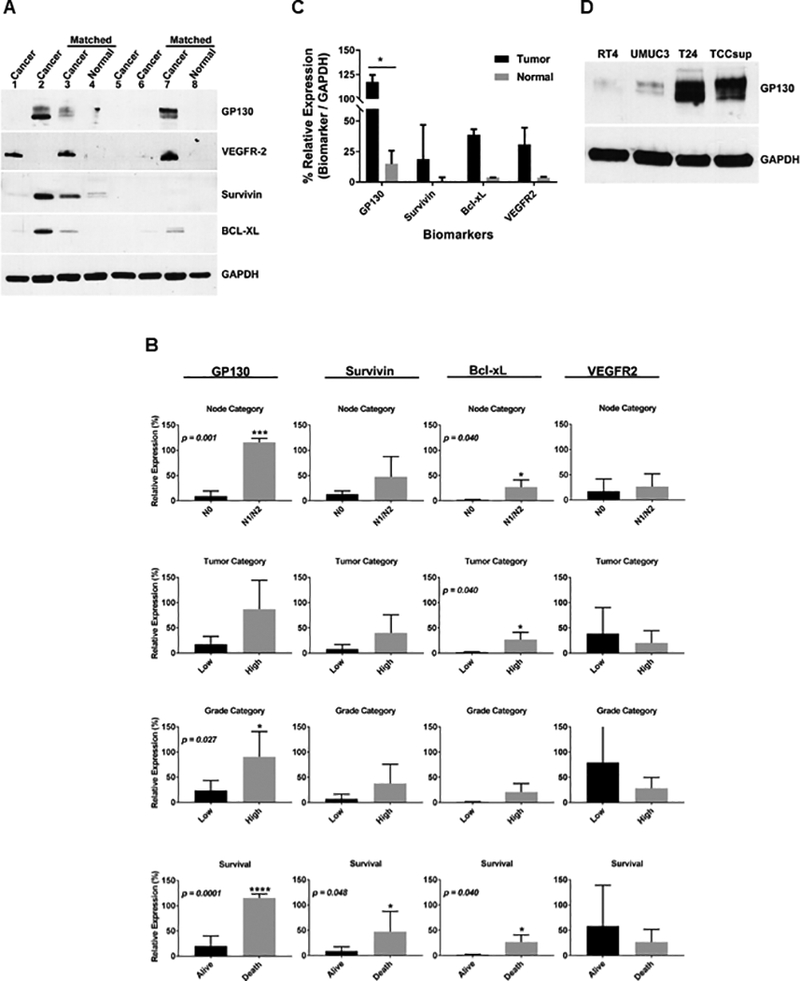 Fig 1.