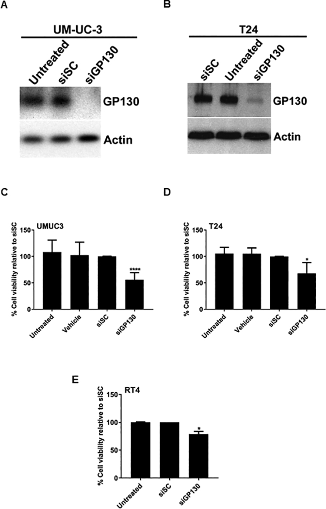 Fig 2.