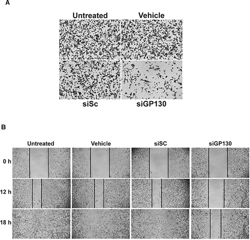 Fig 3.