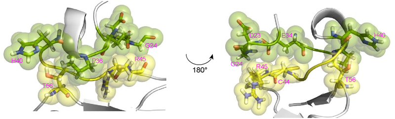 Figure 7.