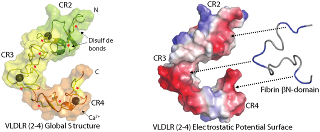 graphic file with name nihms-1022759-f0001.jpg