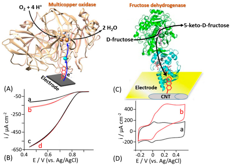 Figure 15