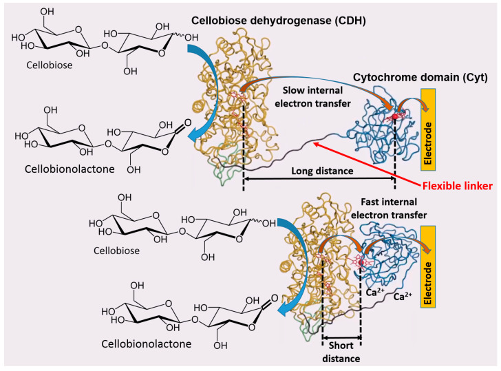 Figure 6