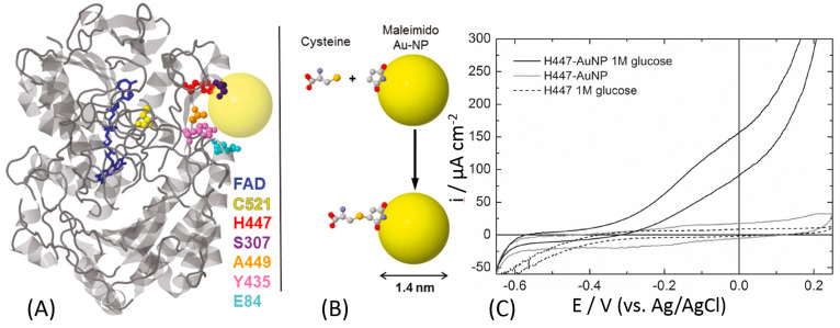 Figure 12