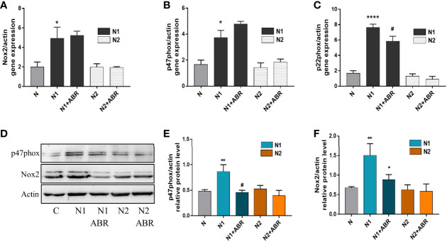 Figure 6