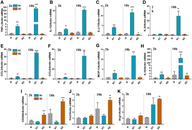 Figure 2