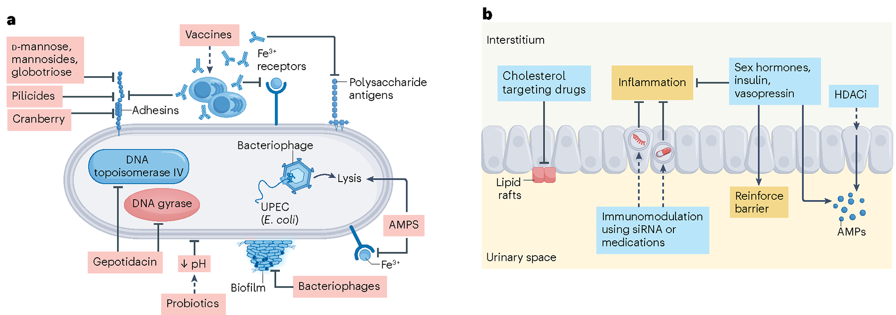 Fig. 3 |