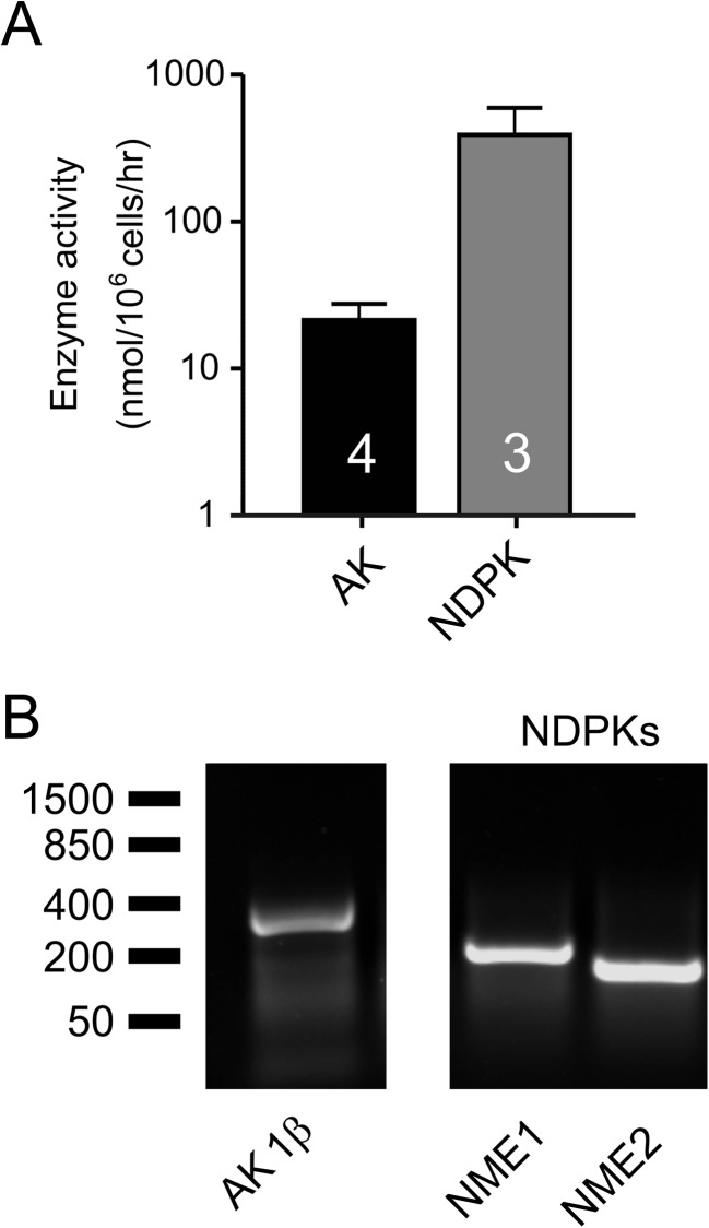 Fig. 8