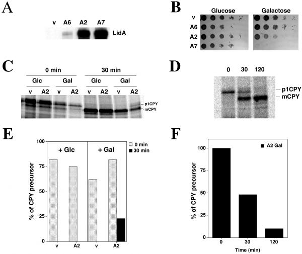 FIG. 4.