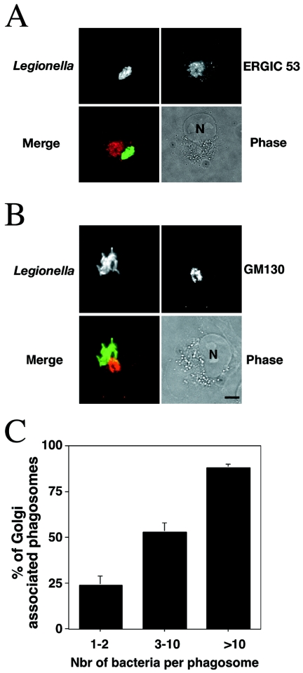 FIG. 6.