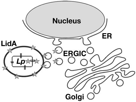 FIG. 7.