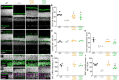 Extended Data Fig. 4 |