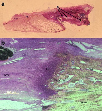 Fig. 10