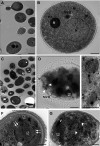 FIG 7
