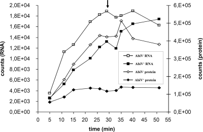 FIG. 1.