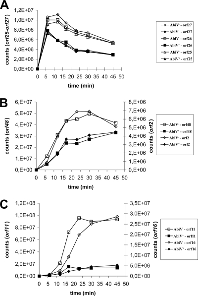 FIG. 2.