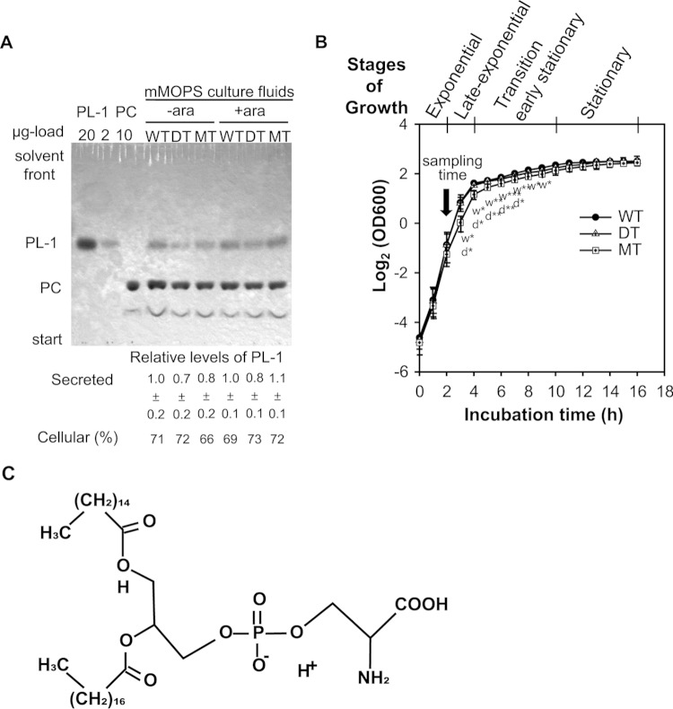 FIG 3