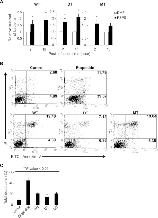 FIG 6