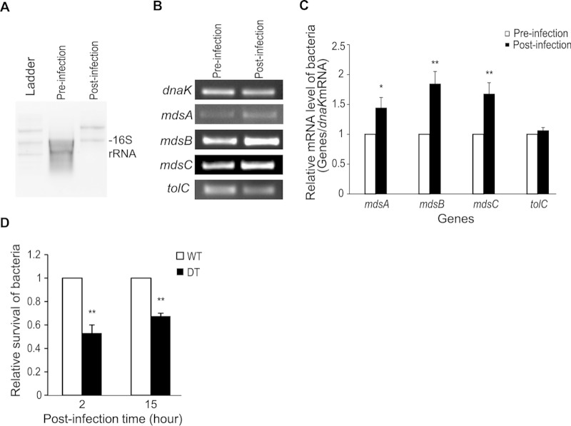 FIG 2