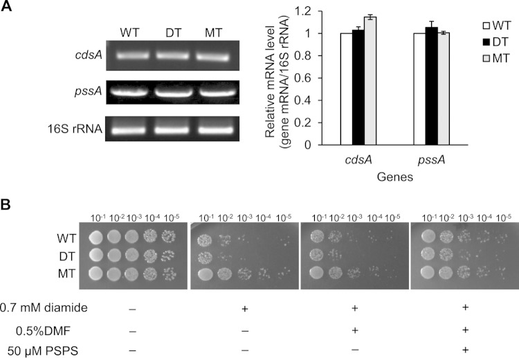 FIG 4