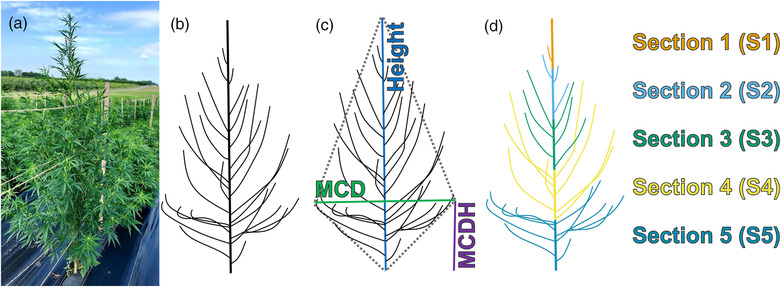 FIGURE 1