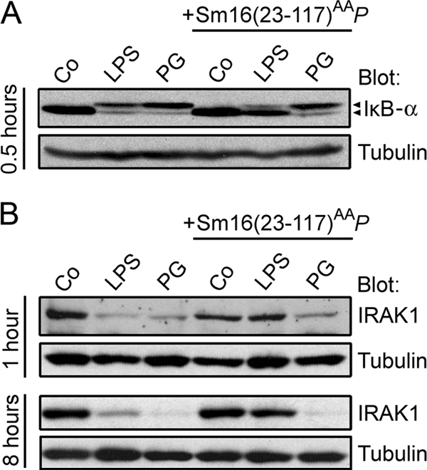 FIG. 10.