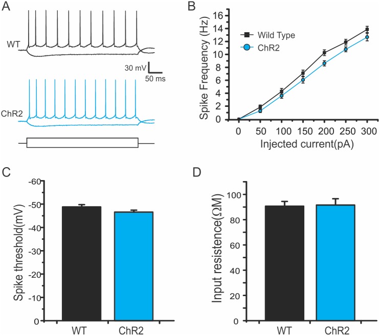 Fig 4