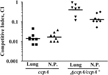 FIG. 2.